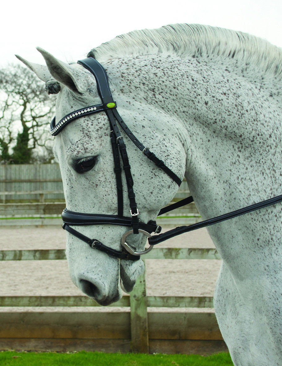 Rhinegold Anatomical Flash Bridle - Top Of The Clops