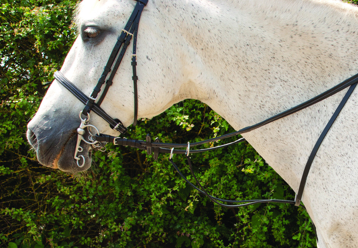 Rhinegold Elegance Running Martingale - Top Of The Clops