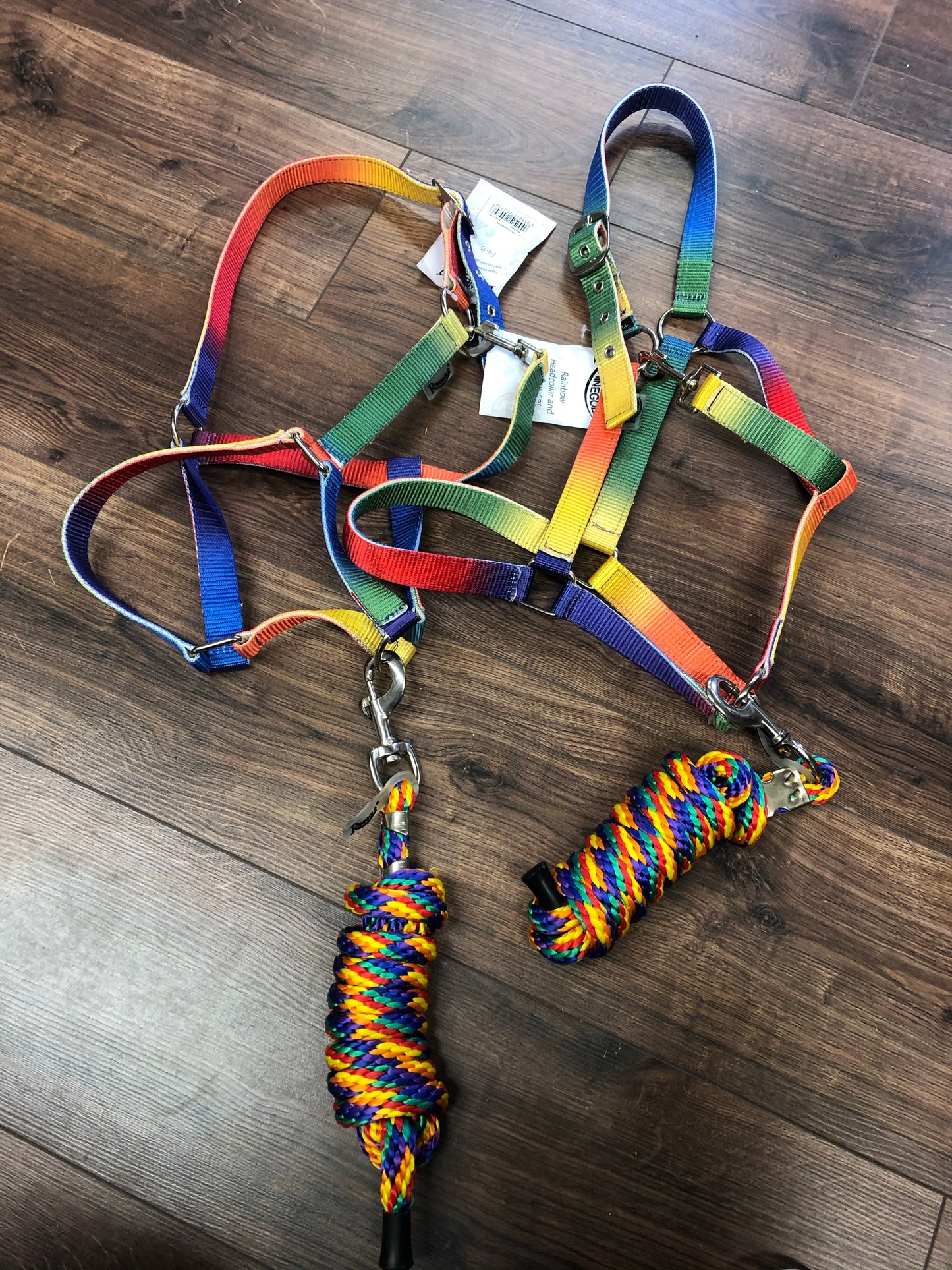 Rhinegold Rainbow Headcollar And Matching Rope Set - Top Of The Clops