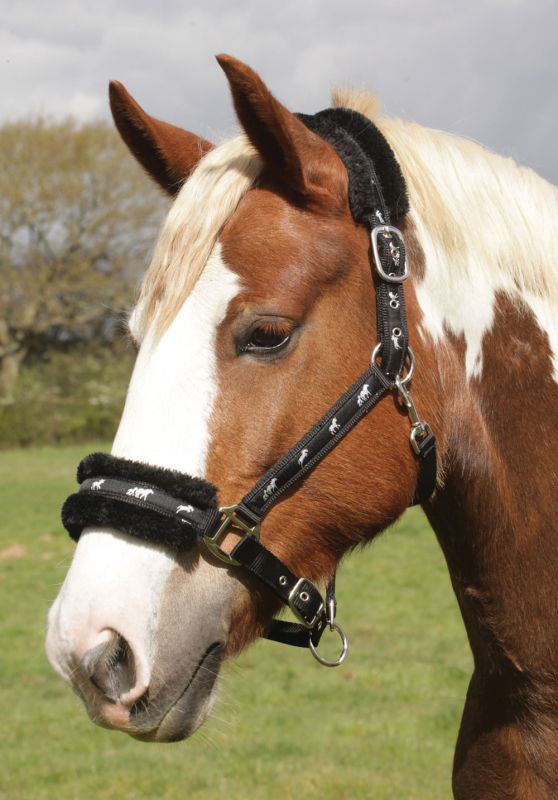 Rhinegold Padded Logo Headcollar - Top Of The Clops