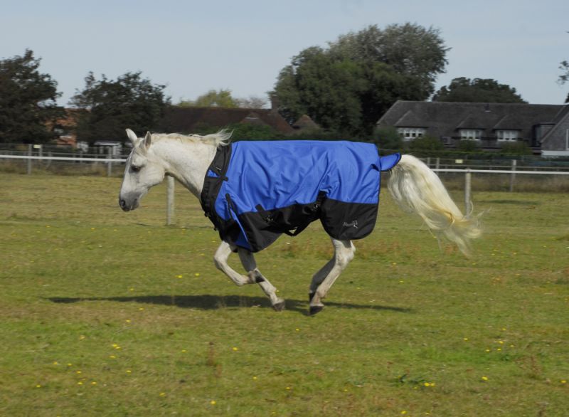 Rhinegold Phoenix Outdoor Rug - Top Of The Clops