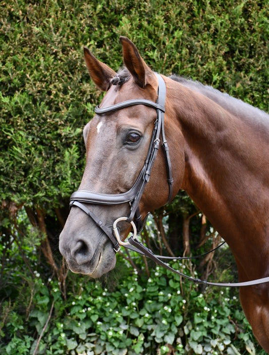 Rhinegold Leather Pro-Anatomical Flash Bridle - Top Of The Clops