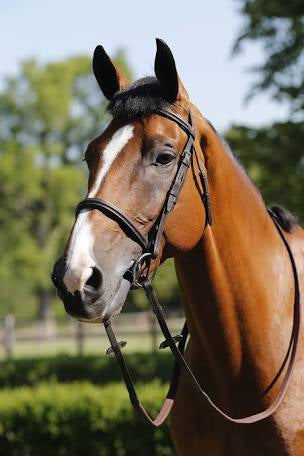 JHL Raised Cavesson Bridle - Top Of The Clops