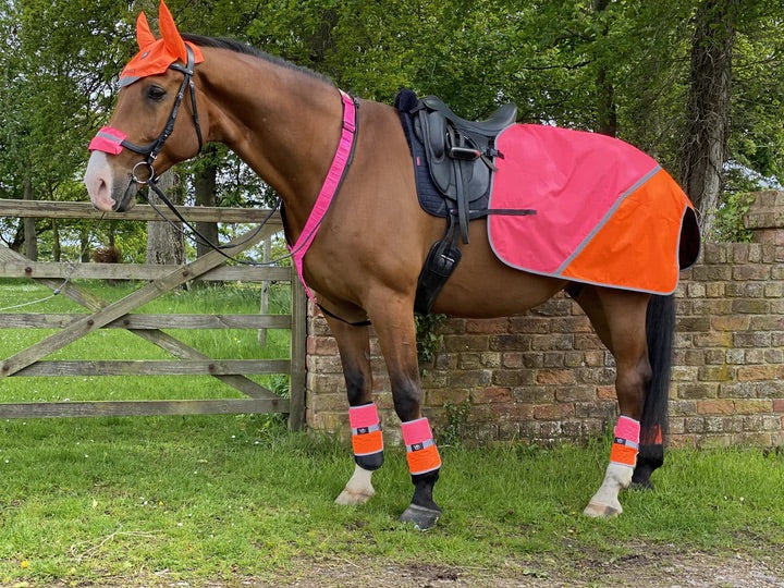 Equisafety Multi Coloured Waterproof Hi Viz Horse Sheet - Top Of The Clops