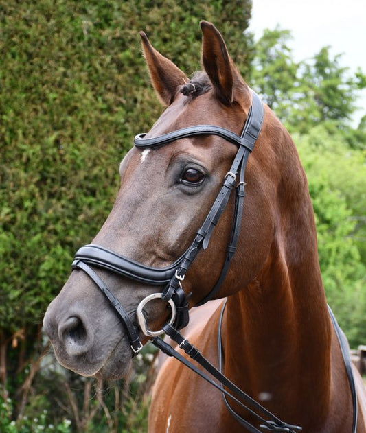 Rhinegold Softee Padded Leather Pro-Anatomical Flash Bridle - Top Of The Clops
