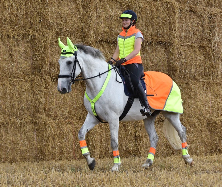 Equisafety Multi Coloured Waterproof Hi Viz Horse Sheet - Top Of The Clops