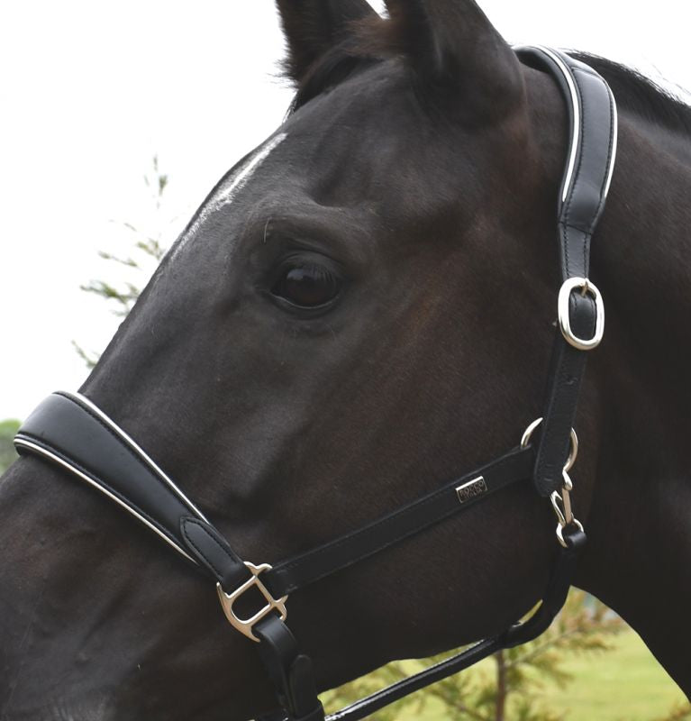 Rhinegold Rocco Italia Turin Leather Headcollar - Top Of The Clops