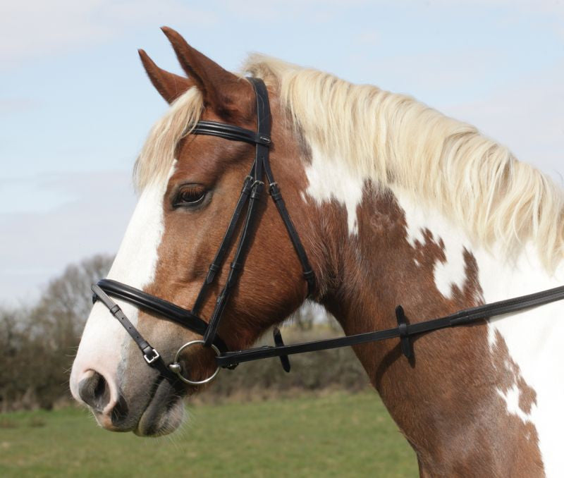 Heritage English Leather Flash Bridle - Top Of The Clops