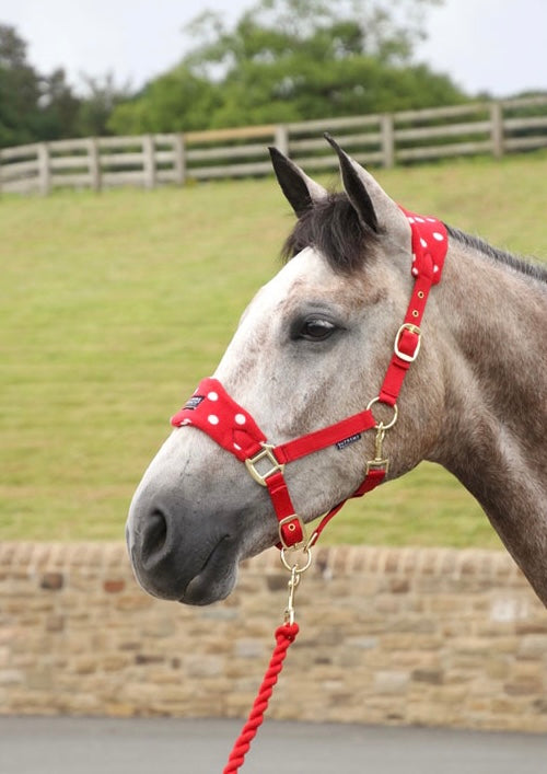 Supreme Products Dotty Fleece Head Collar & Lead Rope - Top Of The Clops