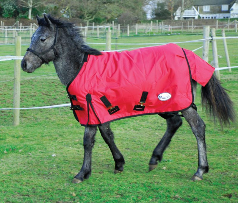 Rhinegold Konig Medium Weight  Small Foal, Pony / Shetland Standard Neck 200G Turnout - Top Of The Clops