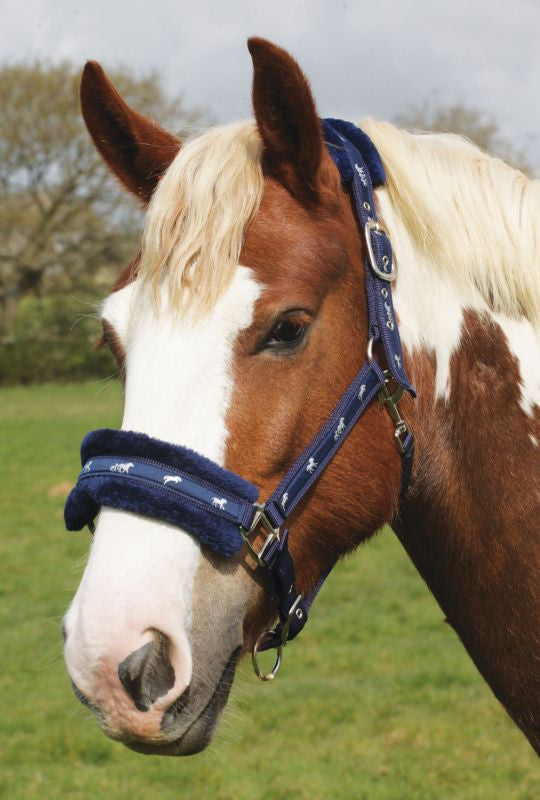 Rhinegold Padded Logo Headcollar - Top Of The Clops