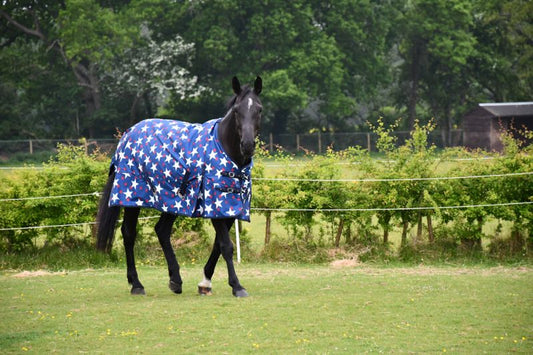 Rhinegold Star Torrent No Fill Turnout Rug - Top Of The Clops