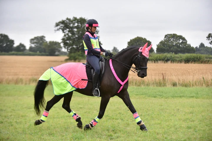 Equisafety Multi Coloured Waterproof Hi Viz Horse Sheet - Top Of The Clops