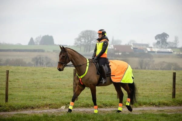 Equisafety Multi Coloured Waterproof Hi Viz Horse Sheet - Top Of The Clops