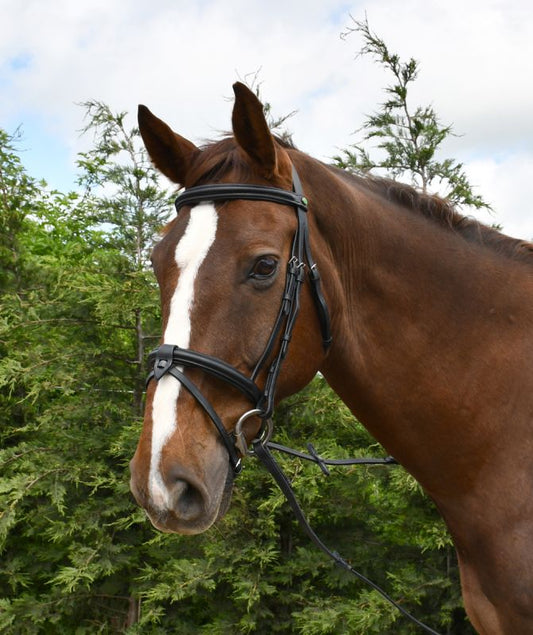Rhinegold German Leather Bridle With Detachable Flash Noseband - Top Of The Clops