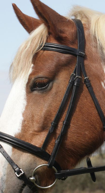 Heritage English Leather Flash Bridle - Top Of The Clops