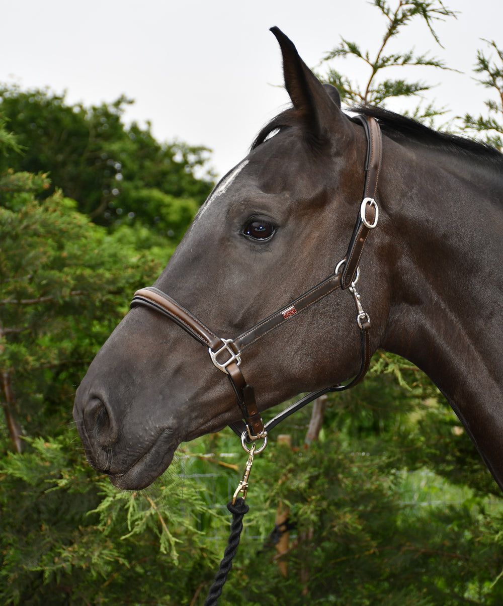 Rhinegold Rocco Italia Verona Leather Headcollar - Top Of The Clops