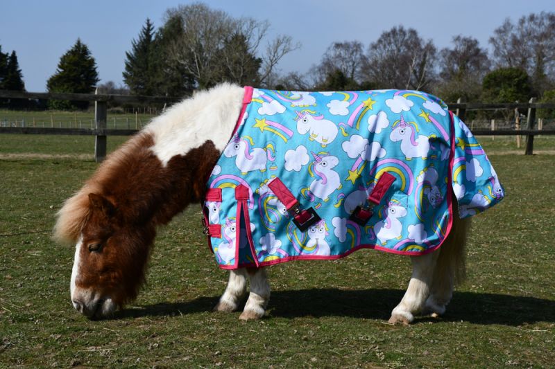 Rhinegold Unicorn Mini Torrent Outdoor Rug - Top Of The Clops