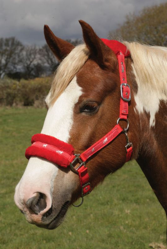 Rhinegold Padded Logo Headcollar - Top Of The Clops