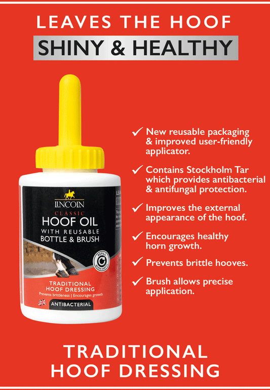 Lincoln Classic Hoof Oil With Reusable Bottle & Brush - Top Of The Clops