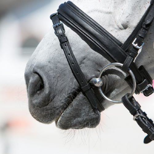 Kieffer Ultrasoft Economy Bridle - Top Of The Clops