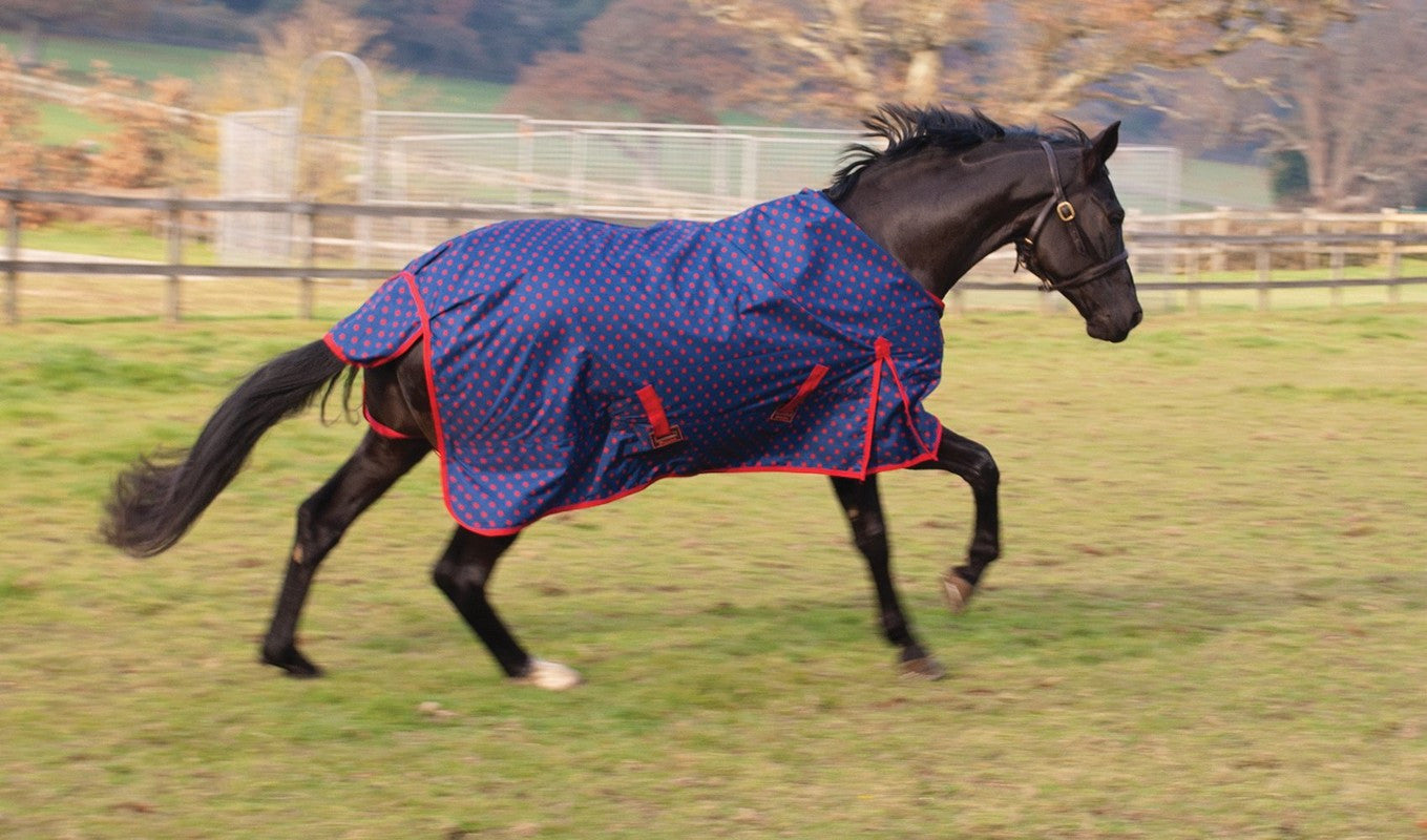 Rhinegold Spot Torrent No Fill Turnout Rug - Top Of The Clops