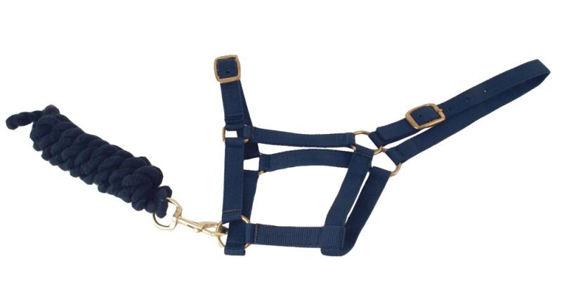 Harlequin Headcollar And Rope Set - Top Of The Clops