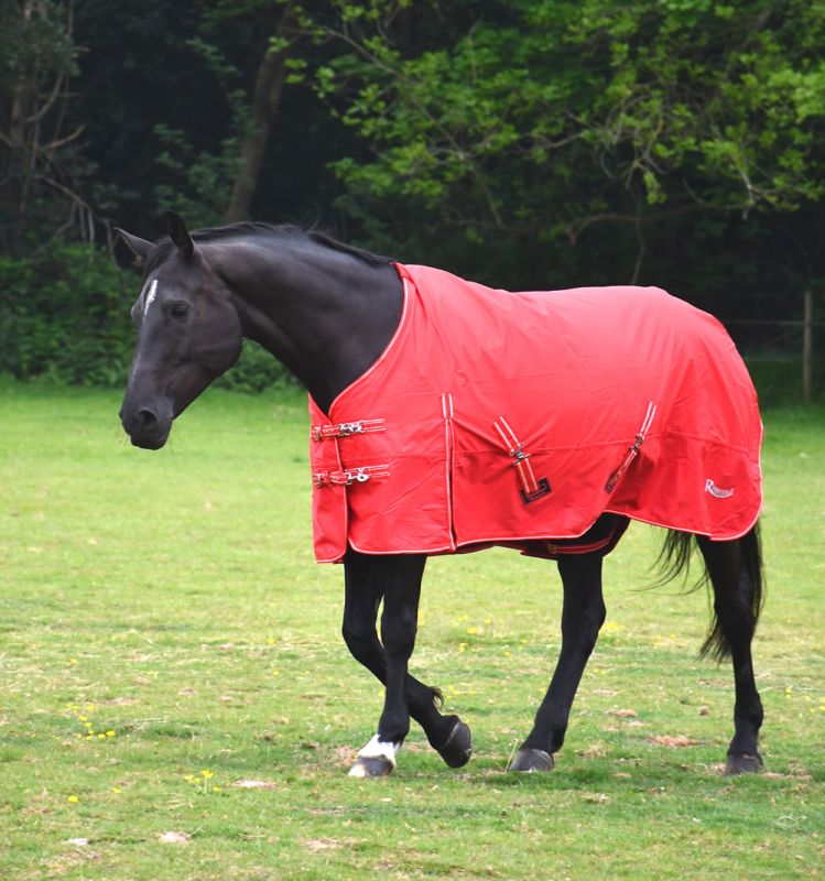 Rhinegold Torrent No Fill Turnout Rug - Top Of The Clops
