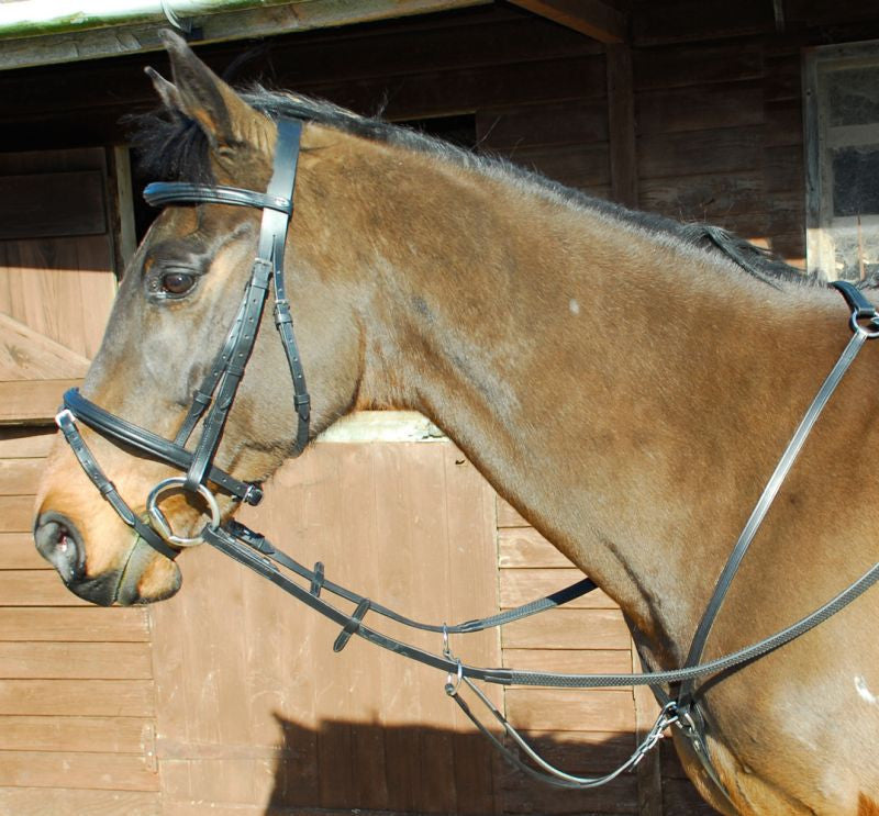 Windsor Leather Breastplate - Top Of The Clops