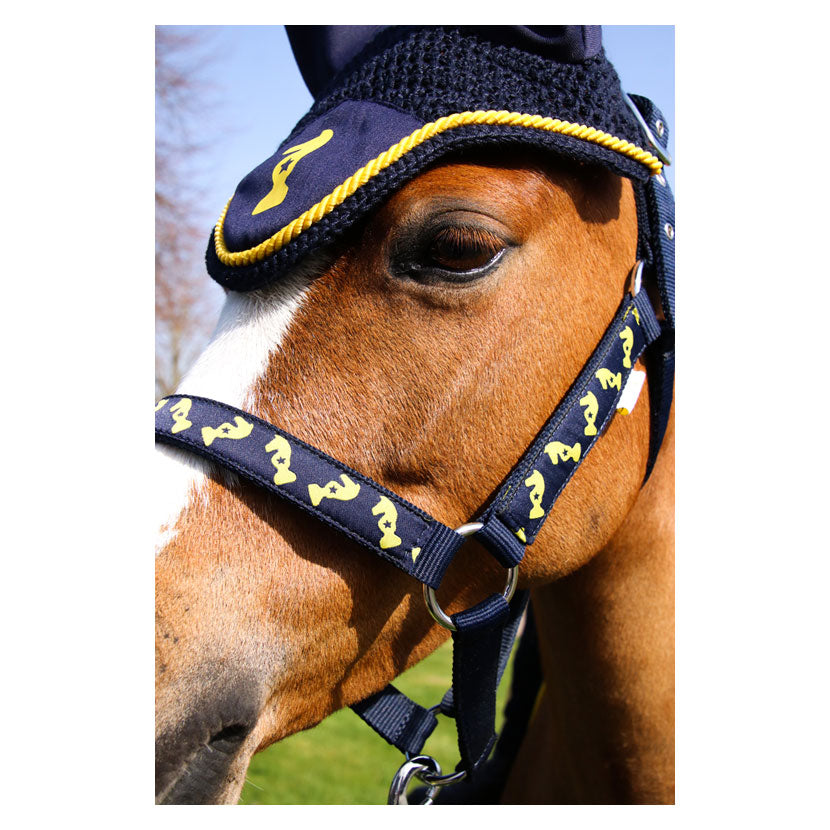 Little Knight Lancelot Fly Veil - Top Of The Clops