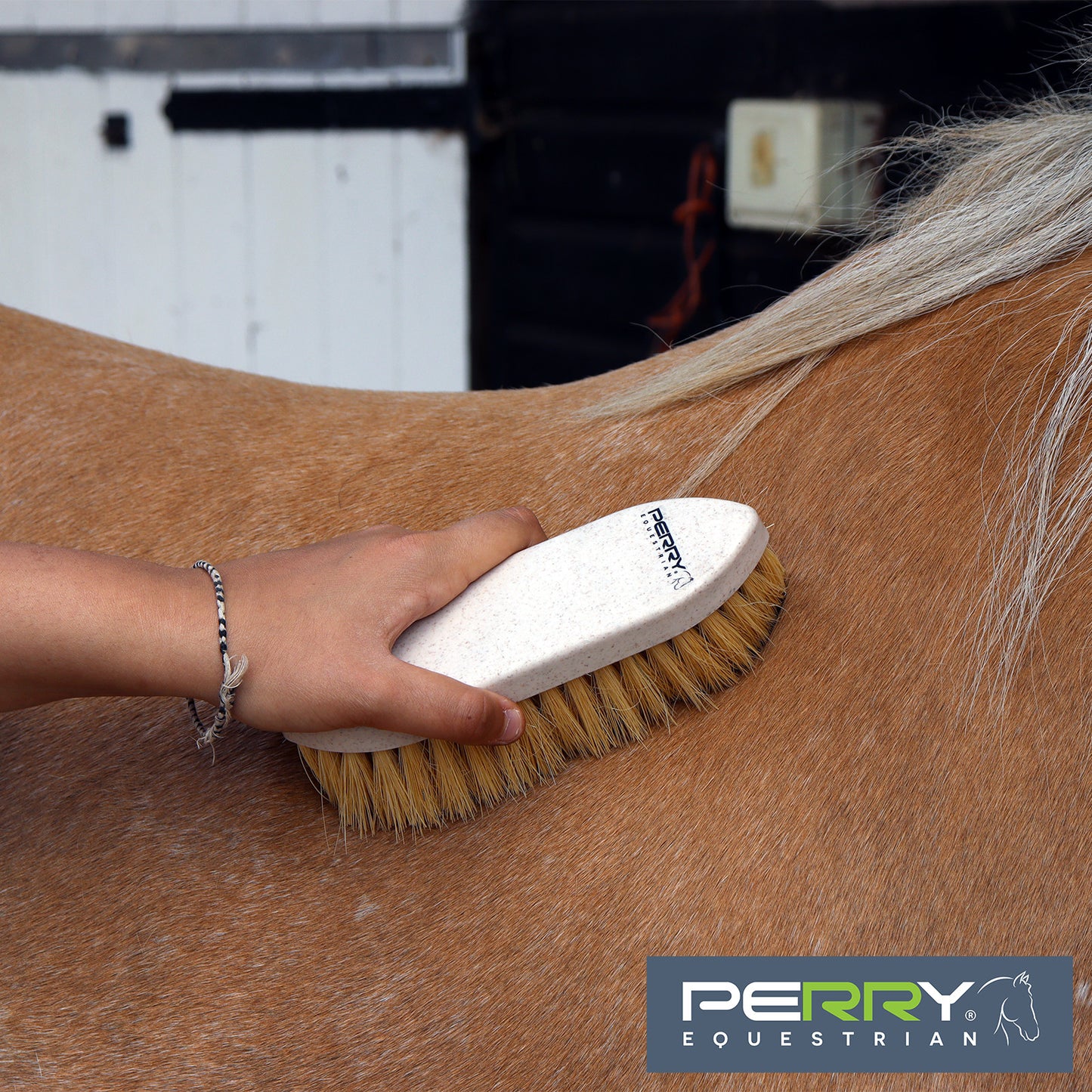 Perry Equestrian EcoGroom Grooming Kit - Top Of The Clops