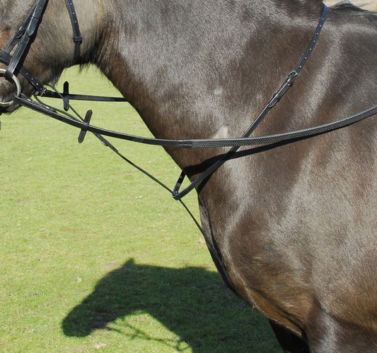 Windsor Standing Leather Martingale - Top Of The Clops