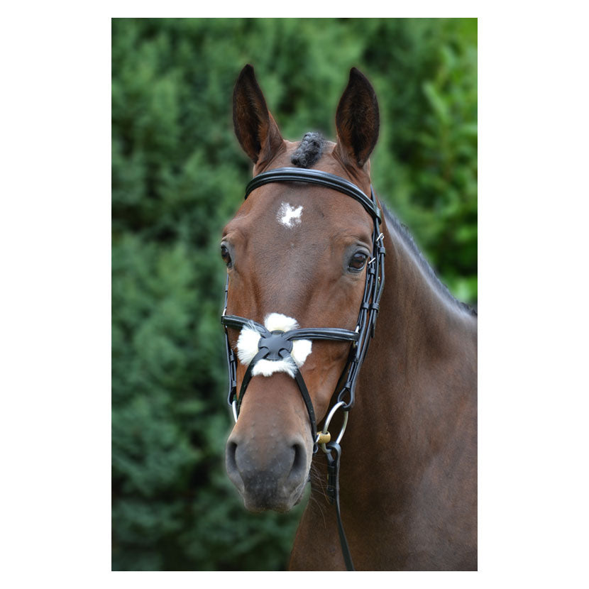 Hy Mexican / Grackle Bridle - Top Of The Clops