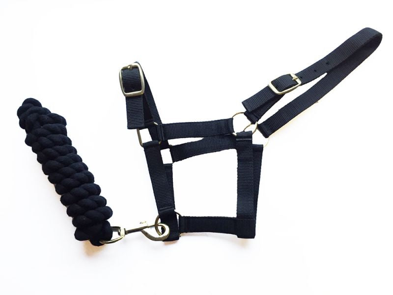 Harlequin Headcollar And Rope Set - Top Of The Clops