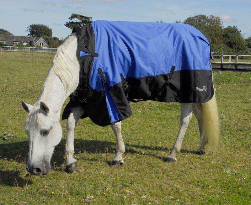 Rhinegold Phoenix Outdoor Rug - Top Of The Clops