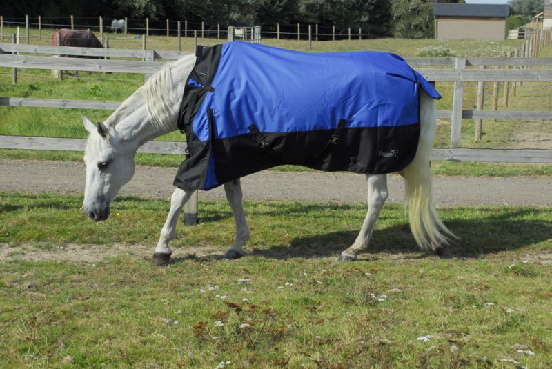 Rhinegold Phoenix Outdoor Rug - Top Of The Clops
