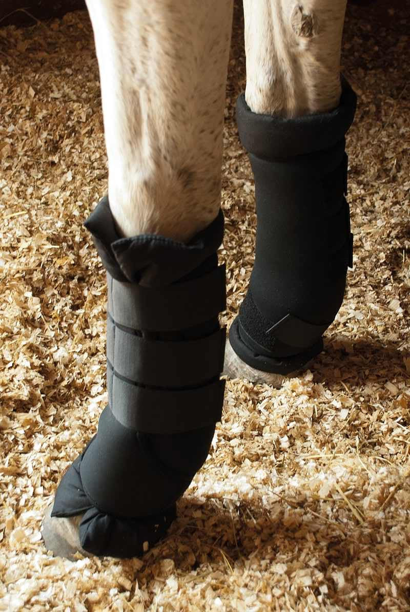 Rhinegold Stable Medicine Boots - Top Of The Clops