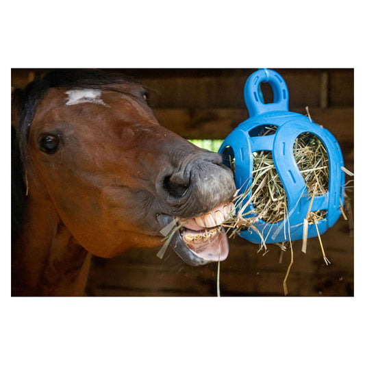 Horsemen's Pride Jolly Hay Ball - Top Of The Clops