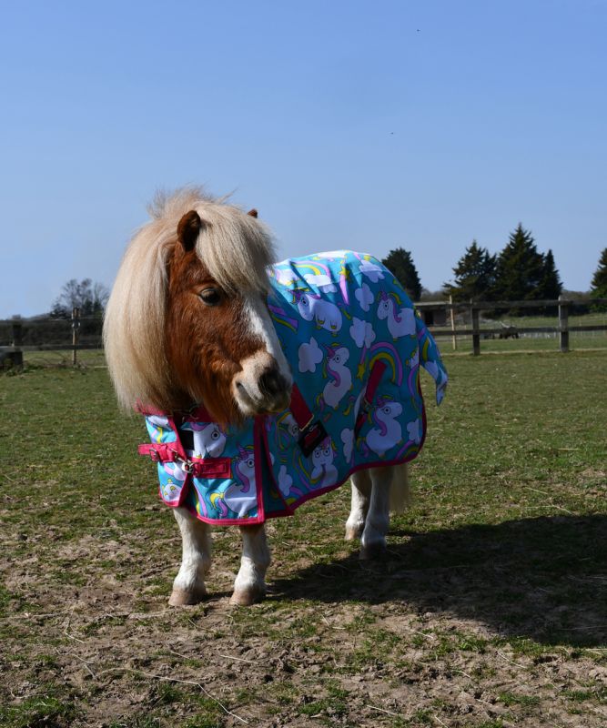 Rhinegold Unicorn Mini Torrent Outdoor Rug - Top Of The Clops