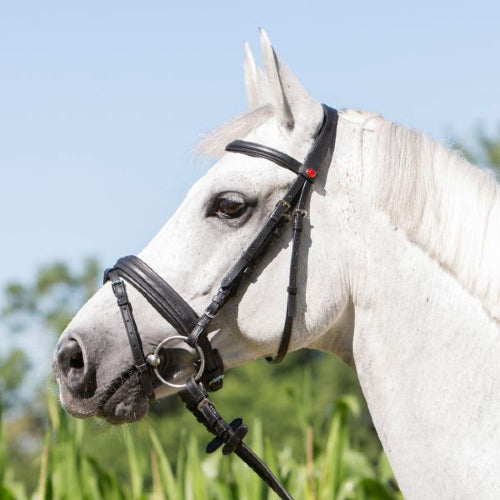 Kieffer Ultrasoft Economy Bridle - Top Of The Clops