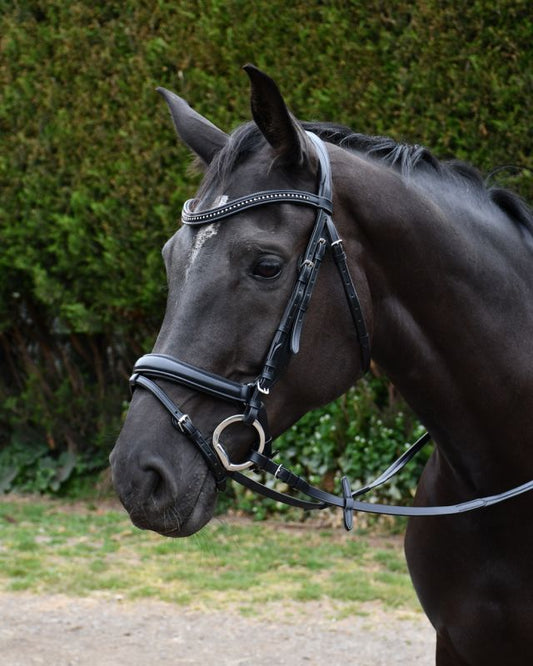 Rhinegold Italia Luxury Anatomical Flash Bridle - Top Of The Clops