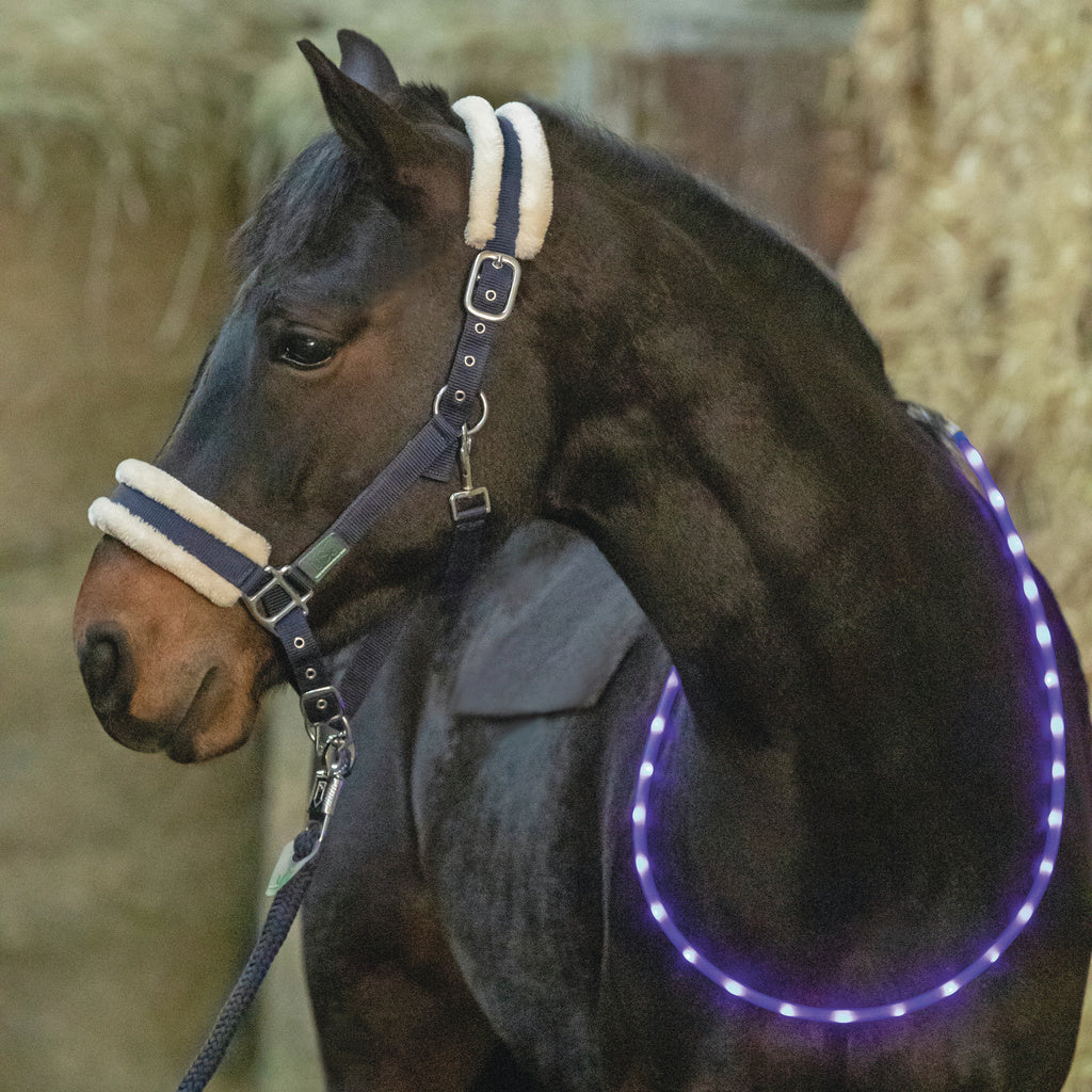 USG Flashing LED Equine Neck / Rein Collar - Top Of The Clops