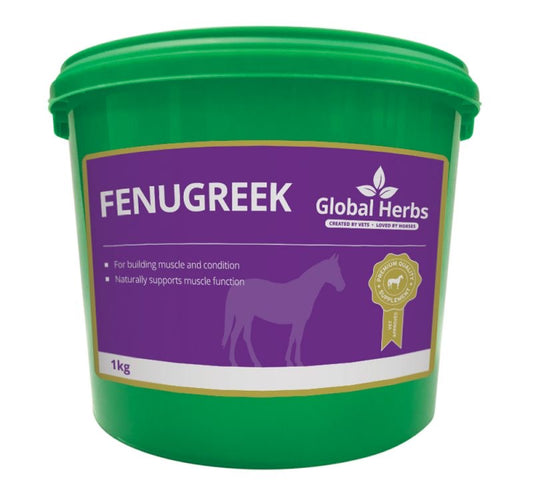 Global Herbs Fenugreek Seeds - Top Of The Clops