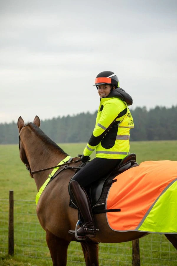 Equisafety Multi Coloured Waterproof Hi Viz Horse Sheet - Top Of The Clops